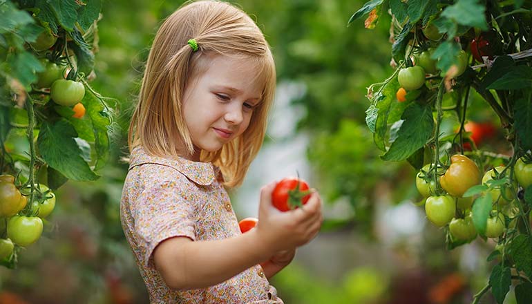 Are You Prepared for the Storm Season
